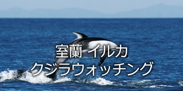 室蘭 イルカ・クジラウォッチング