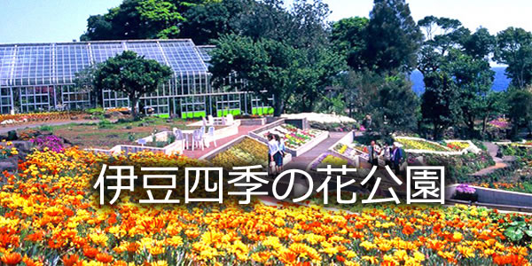 伊豆四季の花公園