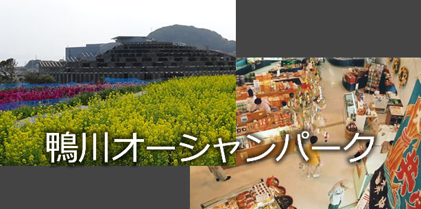 道の駅 鴨川オーシャンパーク