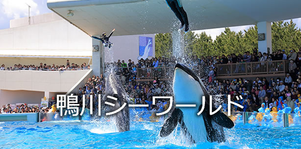 鴨川シーワールド