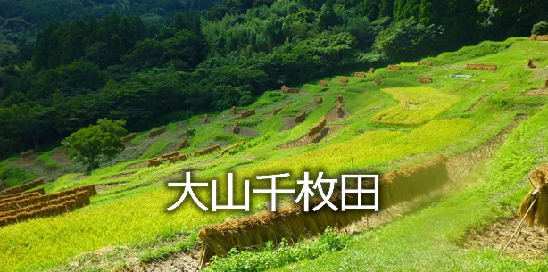 大山千枚田