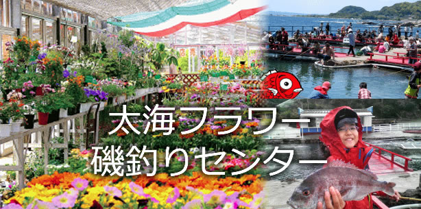 太海フラワー・磯釣りセンター