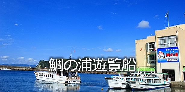 鯛の浦遊覧船