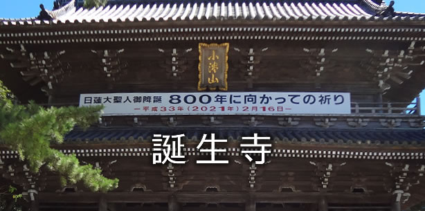 誕生寺