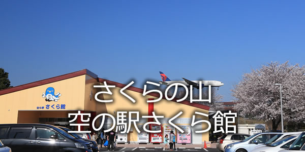 さくらの山・空の駅さくら館