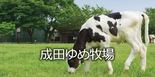 成田ゆめ牧場