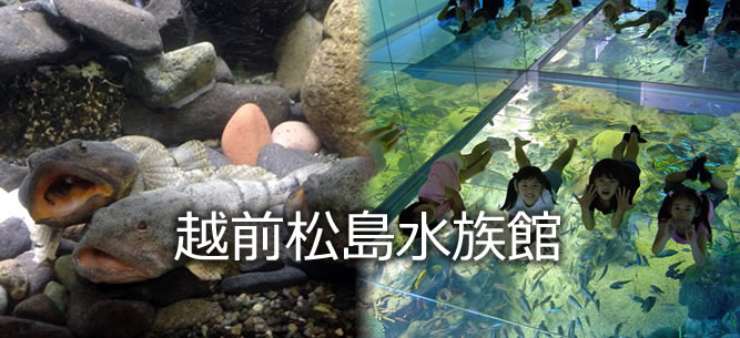 越前松島水族館