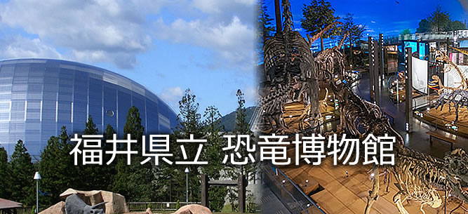 福井県立恐竜博物館