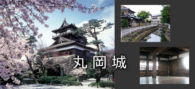 丸岡城