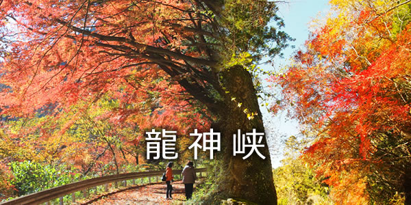 龍神峡