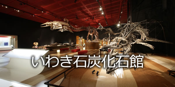 いわき石炭化石館