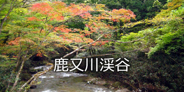 鹿又川渓谷