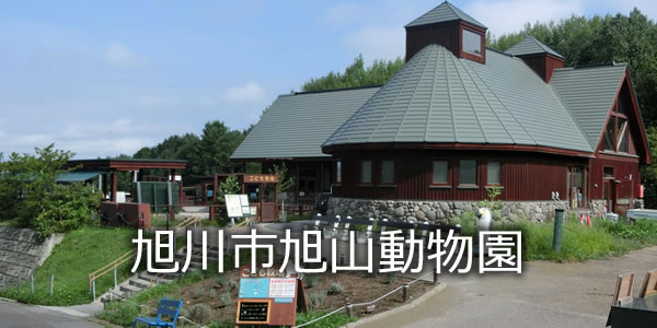 旭川市旭山動物園