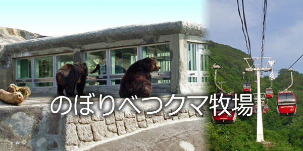 のぼりべつクマ牧場