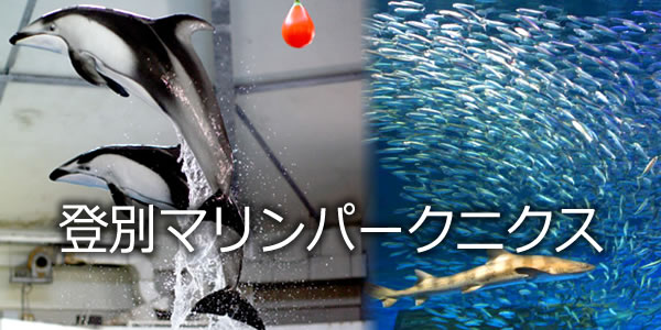 登別マリンパークニクス
