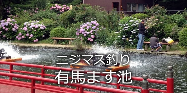 有馬ます池