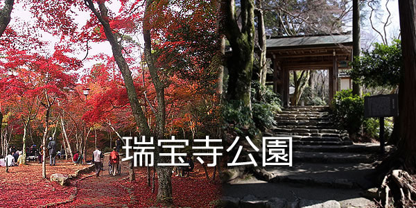 瑞宝寺公園