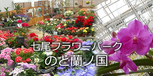 七尾フラワーパーク　のと蘭ノ国