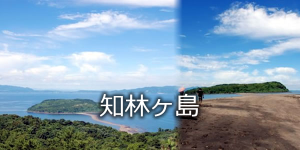 知林ヶ島