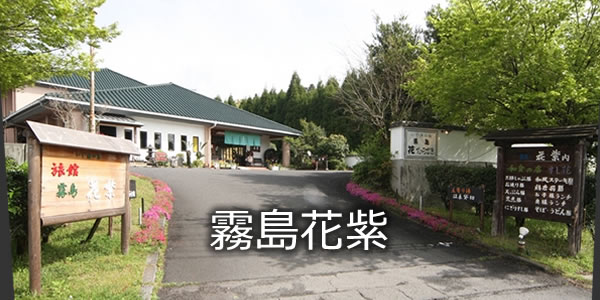 霧島花紫