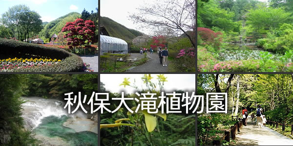 秋保大滝植物園
