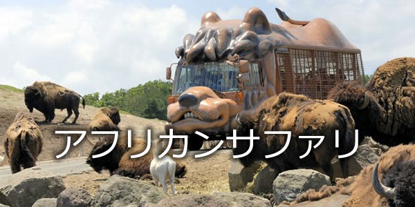 アフリカンサファリ