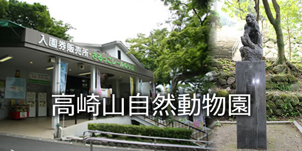 高崎山自然動物園