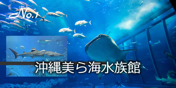 沖縄美ら海水族館