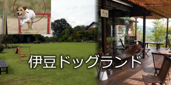 伊豆ドッグランド