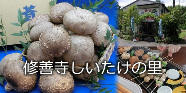 修善寺しいたけの里