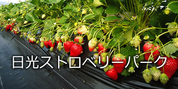 日光ストロベリーパーク