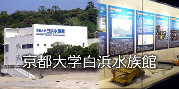 京都大学白浜水族館