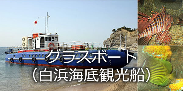 グラスボート（白浜海底観光船）