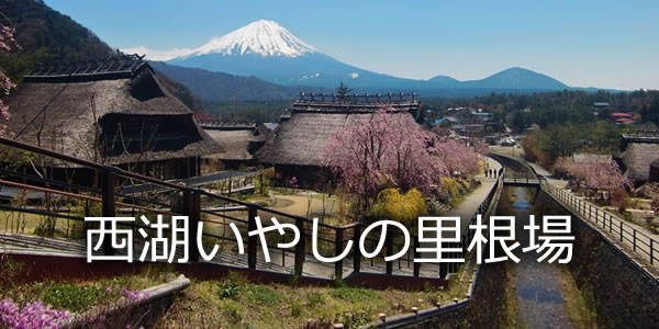 西湖いやしの里根場