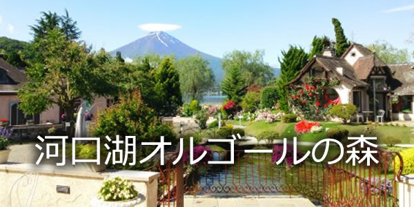 河口湖オルゴールの森