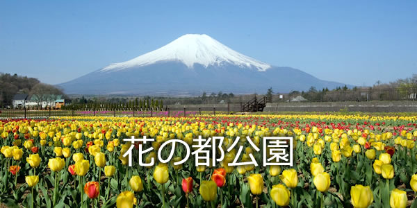 花の都公園